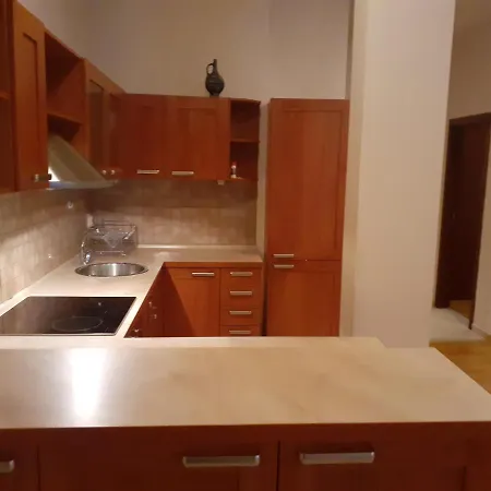 Two Bedroom With Fireplace And Mountain View Apartment *